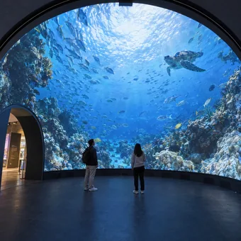 Visitors inside a concave spherical LED display showing an underwater scene