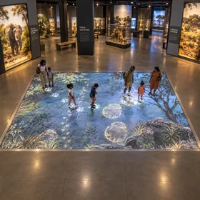 Families walking over educational wildlife visuals on a museum LED floor